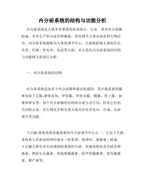 内分泌系统的结构与功能分析