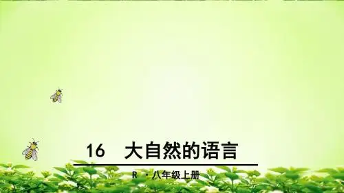 《大自然的语言》课件