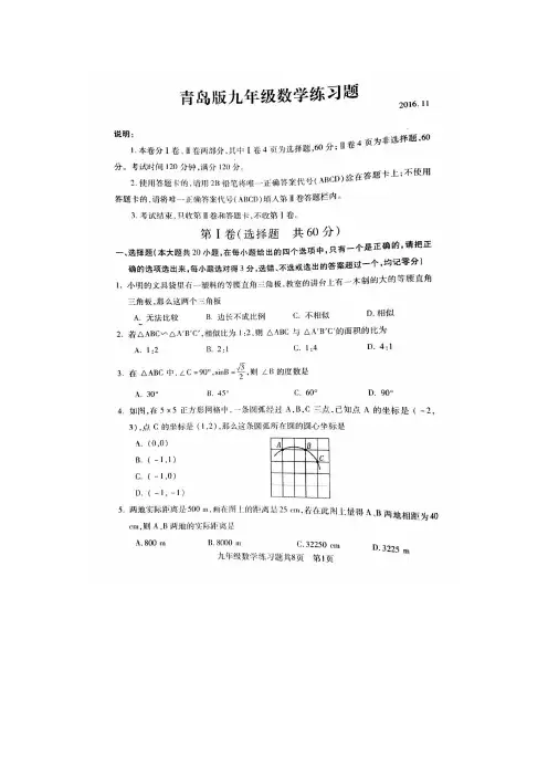 2016—2017学年鲁教版九年级上册期中考试数学试卷有答案
