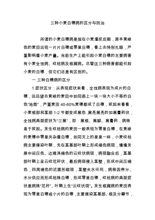 三种小麦白穗病的区分与防治
