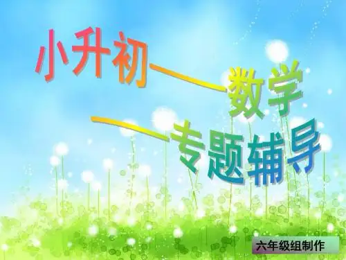 百思迪威数学总复习经典教案-ppt