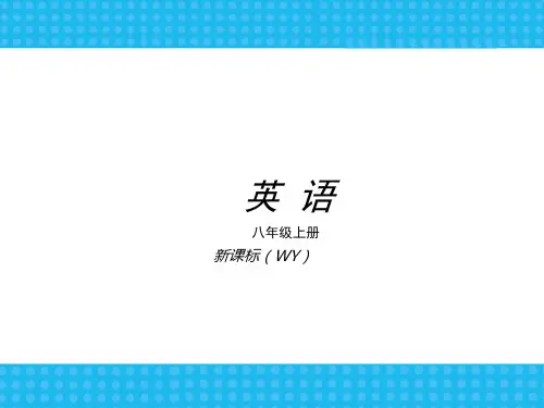 英语外研版八级上册精品PPT课件