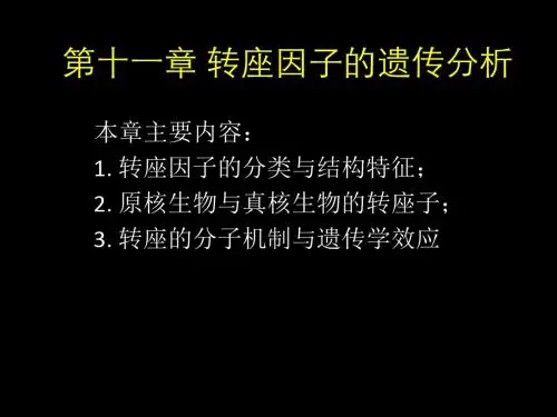 第11章转座子的遗传分析共49页文档