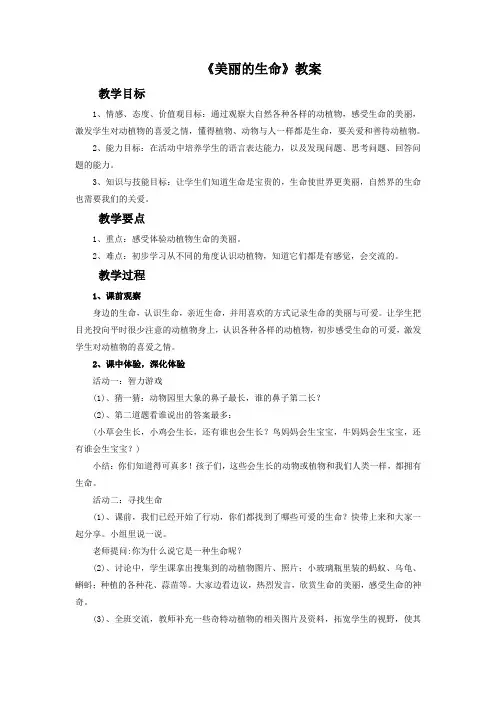 《美丽的生命》教案3