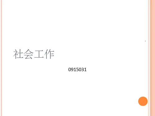 社会政策的经济分析ppt