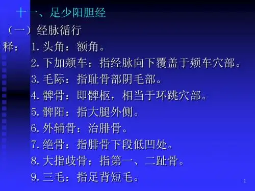 足少阳胆经