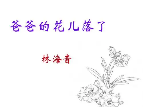 爸爸的花儿落了
