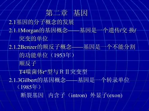 第二章基因