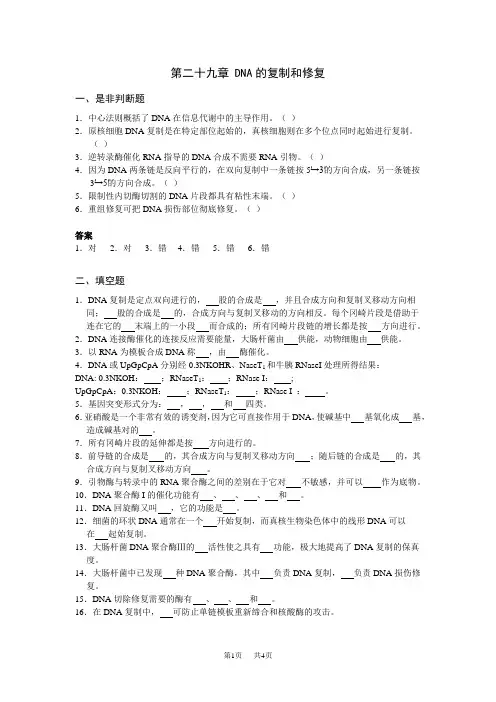 高中生物第34章DNA的复制和修复