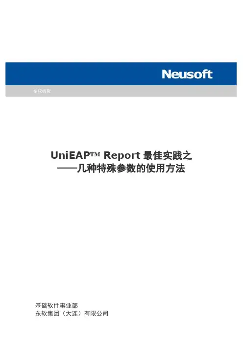 UniEAP Report最佳实践之——几种特殊参数的使用方法