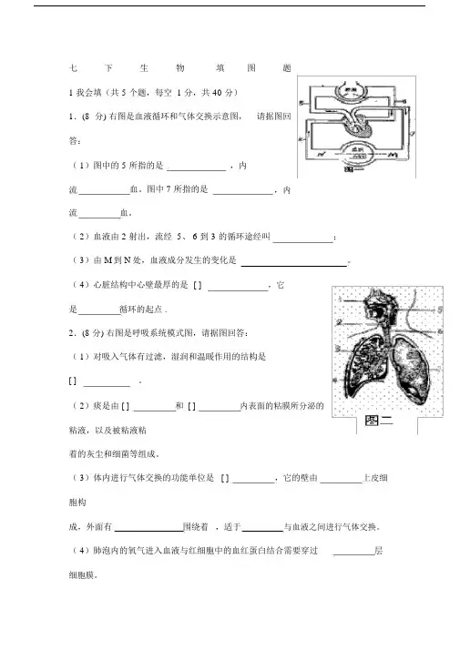 七年级下生物填图题含答案.docx