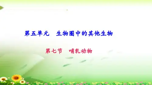 《哺乳动物》练习题