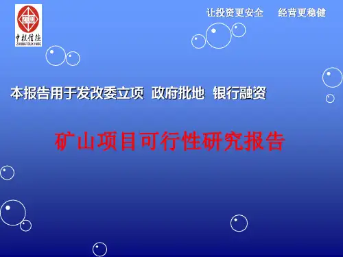 矿山项目可行性研究报告