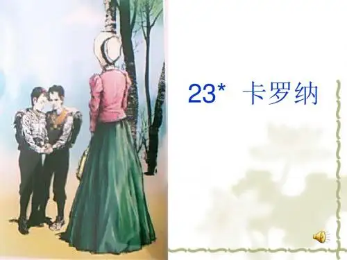 23.卡罗纳2