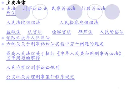 刑事诉讼法PPT课件