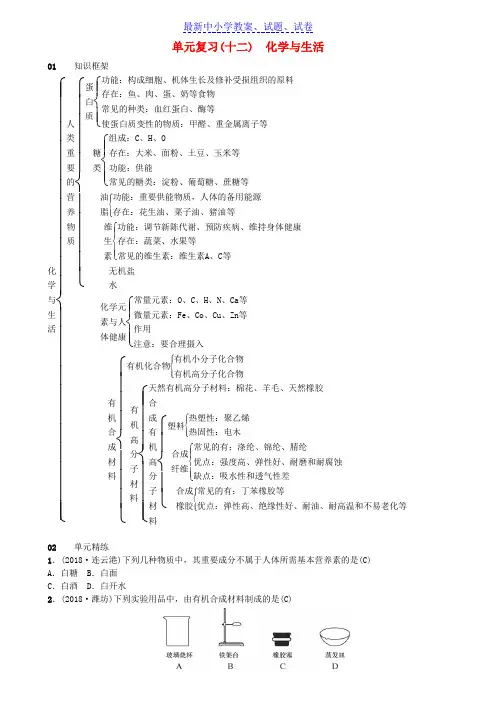 九年级化学下册第十二单元化学与生活单元复习十二化学与生活同步测试含18年真题新版新人教版
