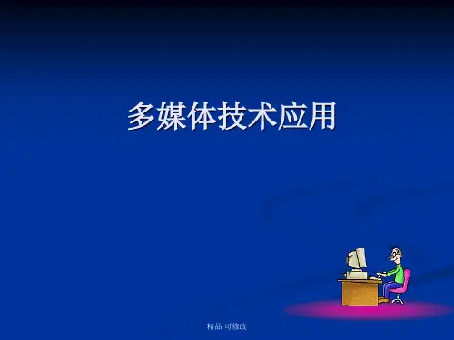 多媒体技术应用4视频处理技术精品课件