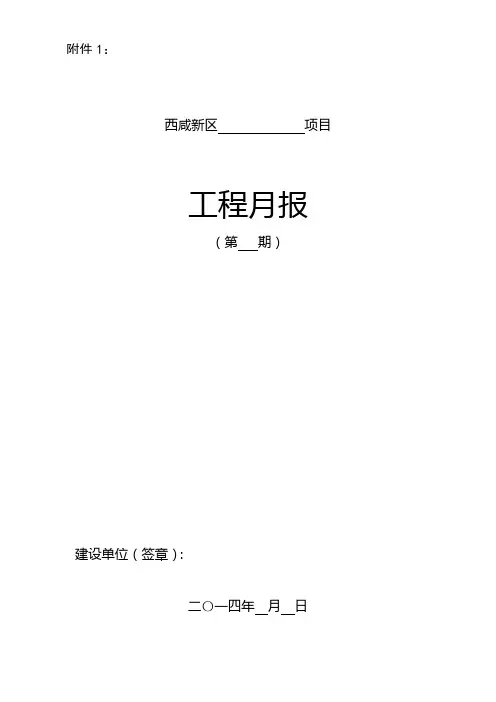 项目月报-模板