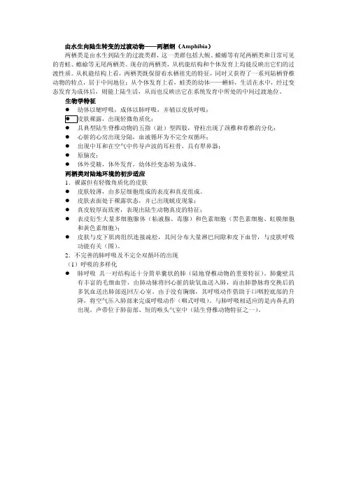 由水生向陆生转变的过渡动物两栖纲(Amphibia)