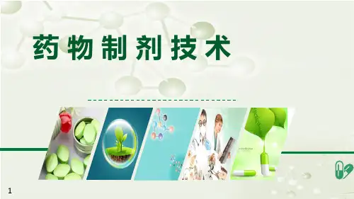 第五章  注射剂与滴眼剂