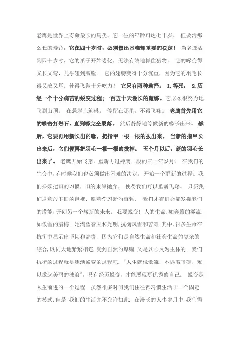 鹰