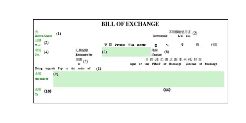 外贸单据汇票模板3