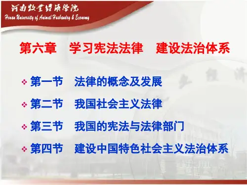 9-第7章树立法治观念尊重法律权威