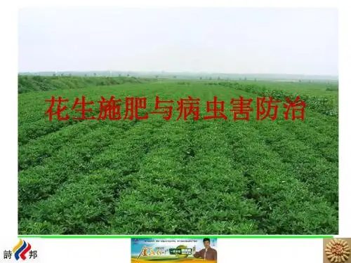 花生施肥与病虫害防治