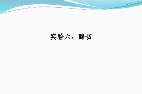 实验六-酶切