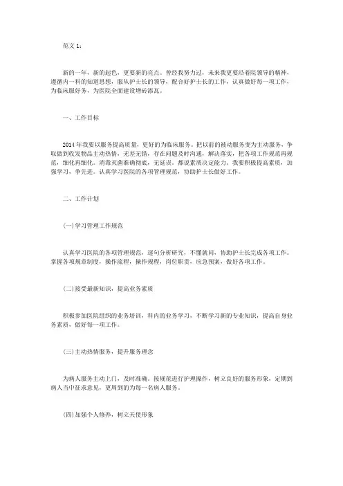 2014年护士个人工作计划两篇