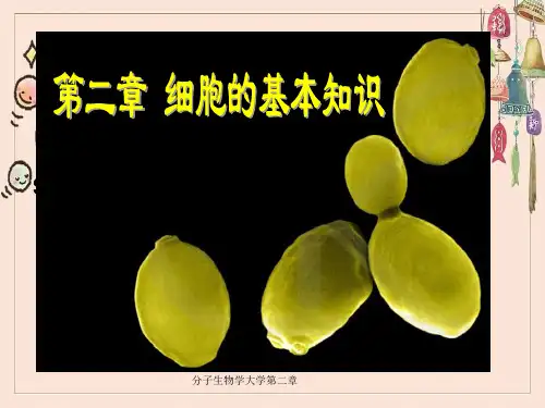 分子生物学大学第二章