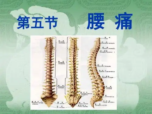 腰痛2