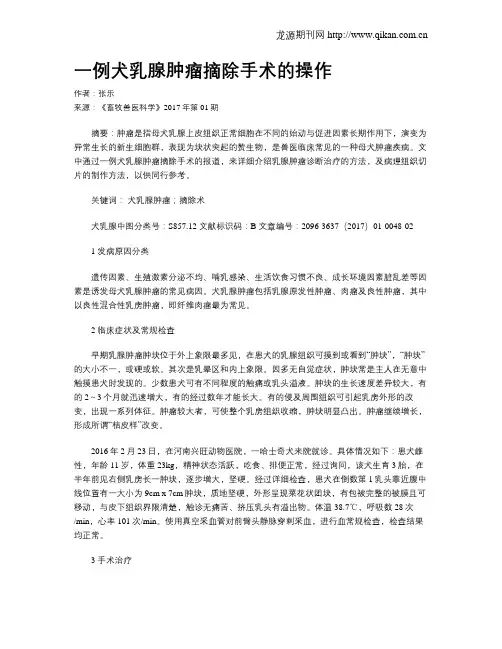 一例犬乳腺肿瘤摘除手术的操作