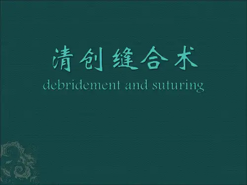 清创缝合术PPT课件