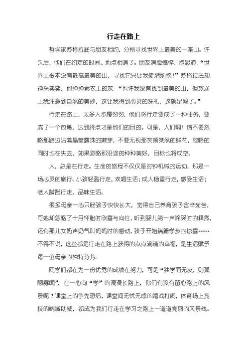 初三作文：行走在路上作文800字_1