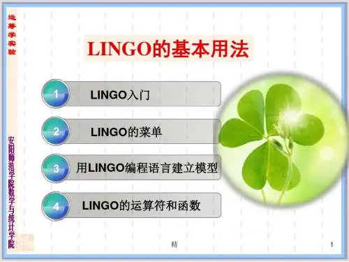 LINGO的基本用法课件