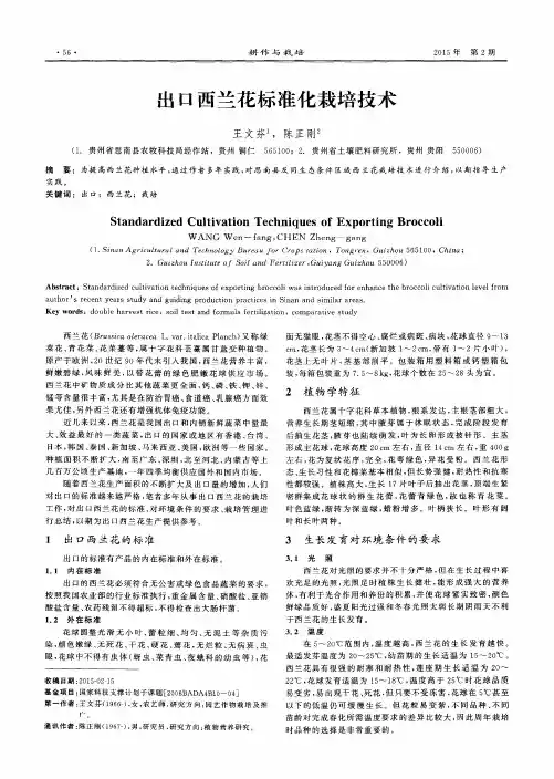 出口西兰花标准化栽培技术