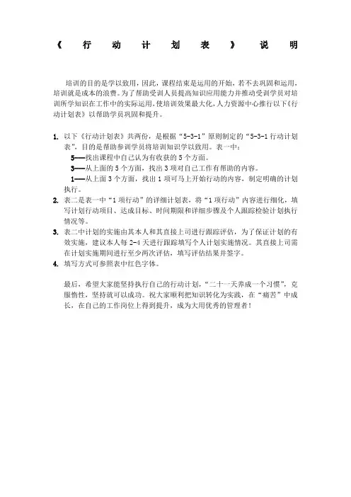 行动计划表