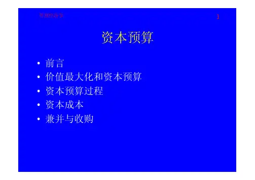 资本预算