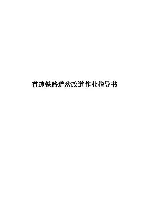普速铁路道岔改道作业指导书