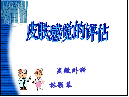 皮肤感觉的评估.