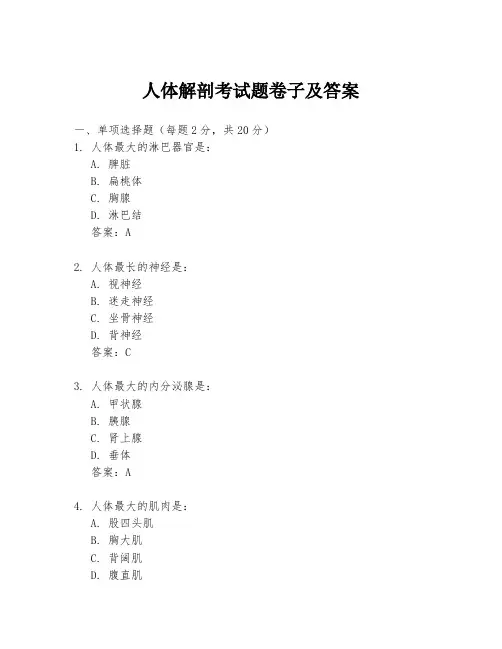 人体解剖考试题卷子及答案