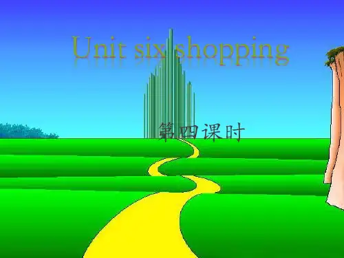 Unit6 Shopping 第四课时课件