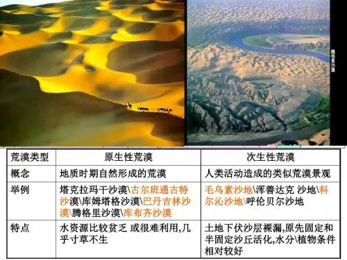 2015荒漠化的防治