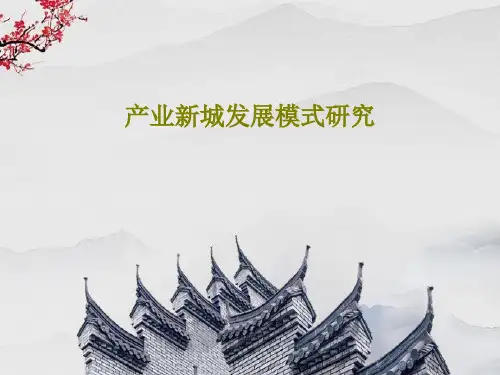 产业新城发展模式研究共62页