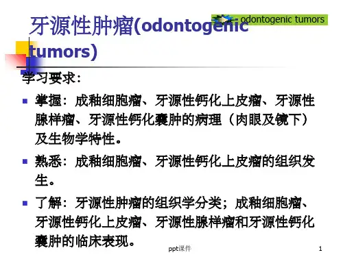 《牙源性肿瘤》PPT课件