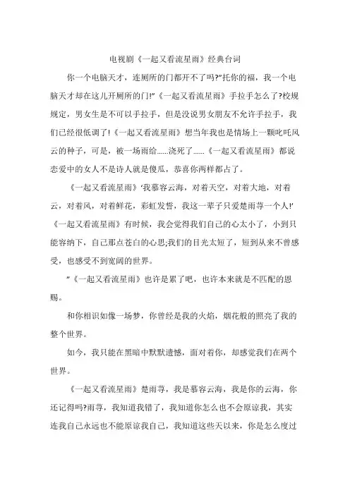 电视剧《一起又看流星雨》经典台词