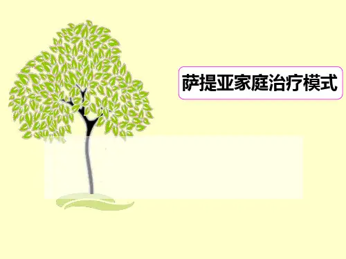 萨提亚家庭治疗模式0511final