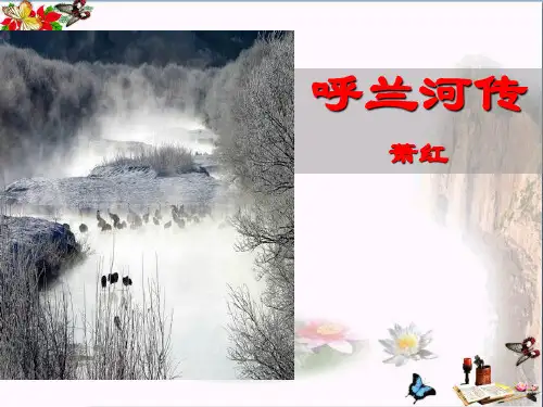 呼兰河传 PPT优秀课件