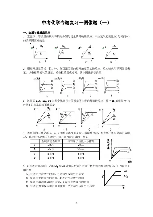 中考化学专题复习(学生版)